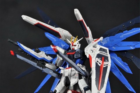 RG 1/144 FREEDOM GUNDAM BL