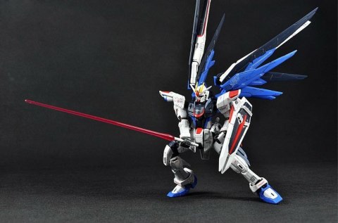 RG 1/144 FREEDOM GUNDAM BL