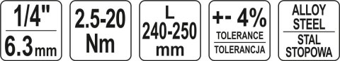 KLUCZ DYNAMOMETRYCZNY 1/4'' 2.5-20NM